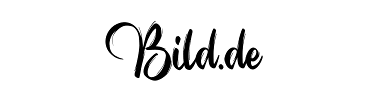 Cabinet of the Outlander  Free Fonts Download