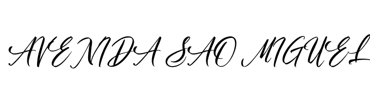 Authorization  Free Fonts Download