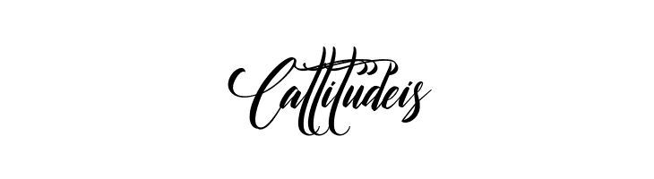 Authorization  Free Fonts Download