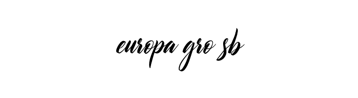 Authorization  Free Fonts Download