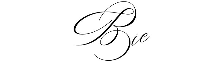 Salwomen  Free Fonts Download