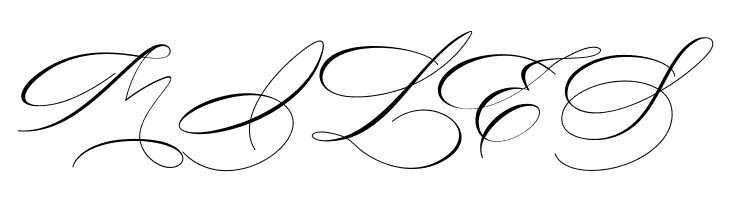 Salwomen  Free Fonts Download