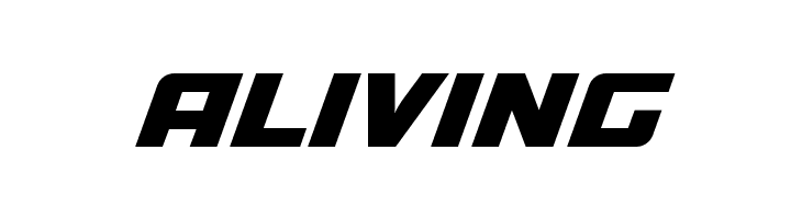 A4 SPEED Bold  Free Fonts Download