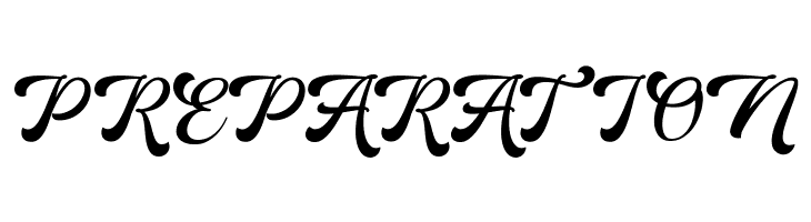 MartineScript  Free Fonts Download