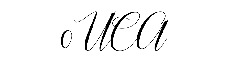 CatalineScript  Free Fonts Download