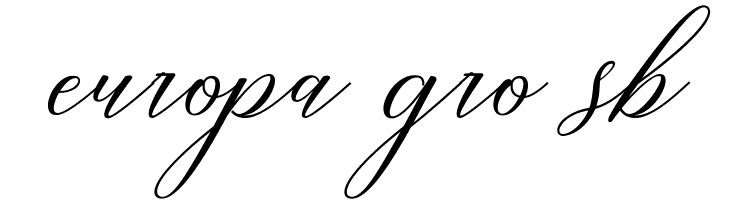 RestianyScript  Free Fonts Download