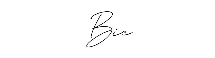 AngelicBonquesFree-Script  Free Fonts Download