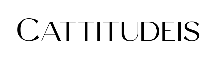 Celine Peach Free Sans  Free Fonts Download