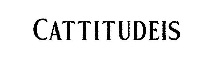 Gold Coast Free Rough  Free Fonts Download