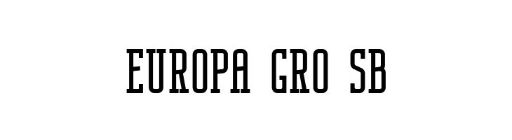 Nordin Slab  Free Fonts Download