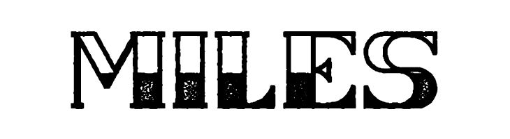 CSNancyFree-HalfblockRough  Free Fonts Download