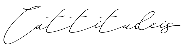 An Either Lifetime  Free Fonts Download