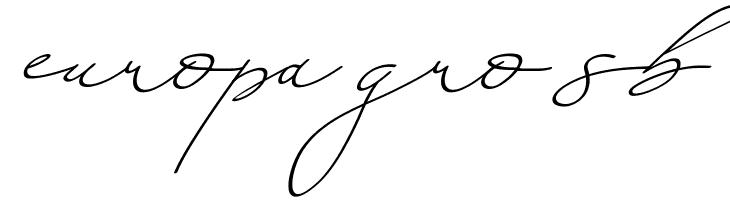 An Either Lifetime  Free Fonts Download