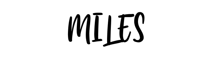 Amerta Wilson  Free Fonts Download