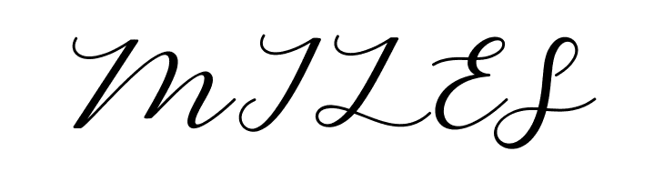 CintyaScript  Free Fonts Download