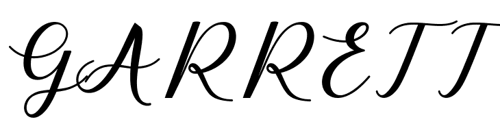 ElizabethScript  Free Fonts Download