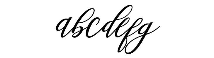 Steady  Free Fonts Download