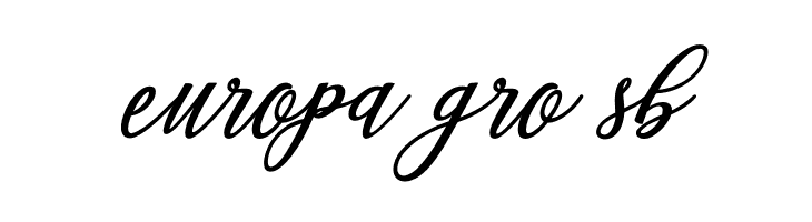 Steady  Free Fonts Download