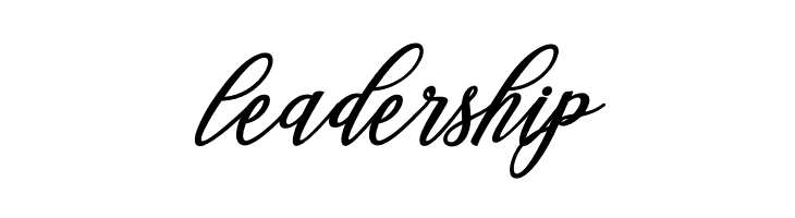 Steady  Free Fonts Download