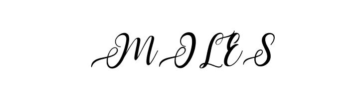 Nayla Script  Free Fonts Download