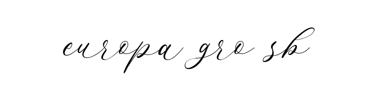 Endless Loveness Regular  Free Fonts Download