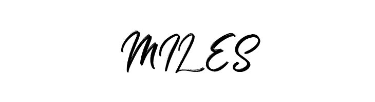 Brighnesy  Free Fonts Download