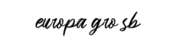 Brighnesy  Free Fonts Download