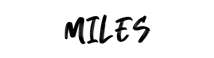 Breaker The Brush Regular  Free Fonts Download