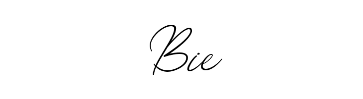 Molica  Free Fonts Download
