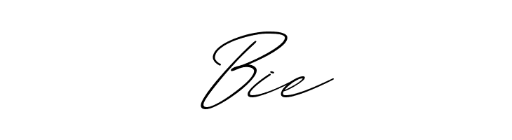 Amera  Free Fonts Download
