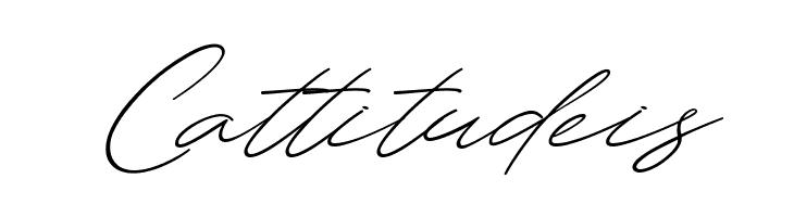 Amera  Free Fonts Download