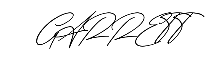 Amera  Free Fonts Download