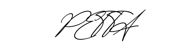 Amera  Free Fonts Download