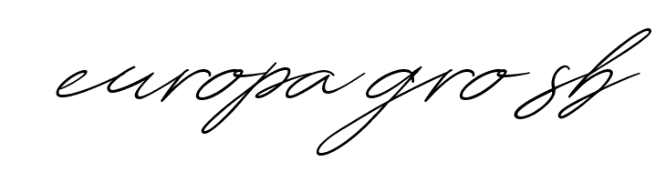 Amera  Free Fonts Download