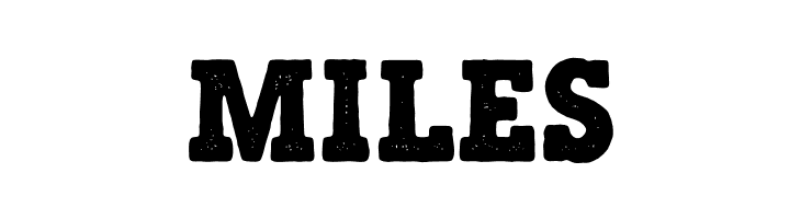 MajesticSchnozz  Free Fonts Download