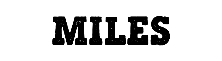 Majestic Schnozz  Free Fonts Download