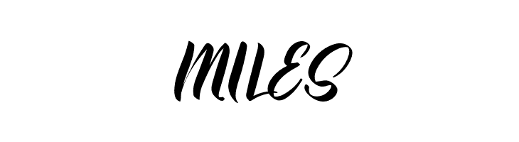 Brush Fila  Free Fonts Download