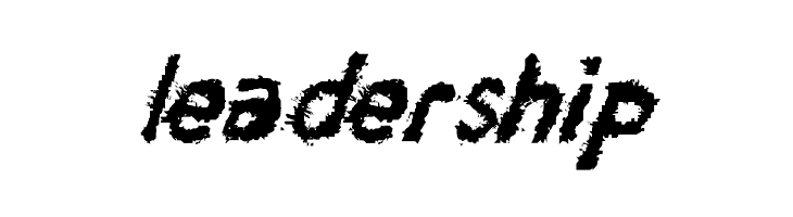 BerduriSans-Regular  Free Fonts Download