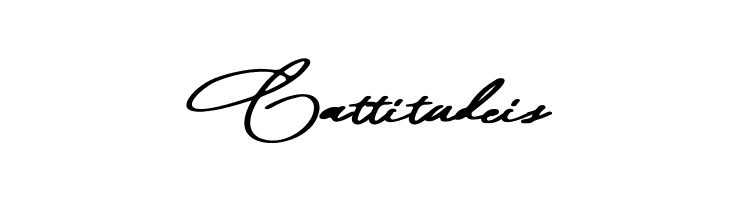 Moana Script  Free Fonts Download