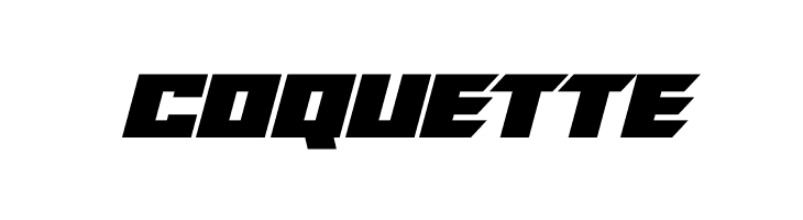 Alien Future Italic  Free Fonts Download