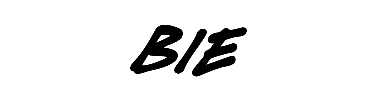 Christmas Cheer Italic  Free Fonts Download