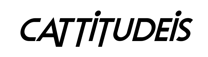 Elastic Stretch Italic  Free Fonts Download