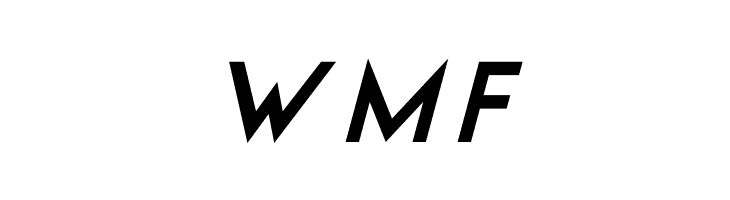 Elastic Stretch Italic  Free Fonts Download