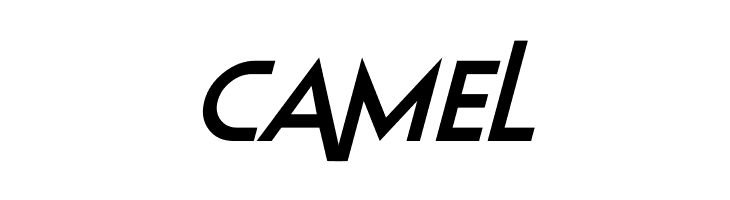 Elastic Stretch Italic  Free Fonts Download