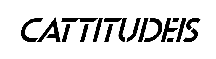 Beyond Mars Italic  Free Fonts Download