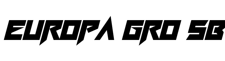 Neon Rave Italic  Free Fonts Download