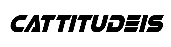 Affirmative Italic  Free Fonts Download