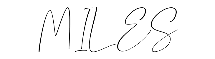 Gamaleon  Free Fonts Download