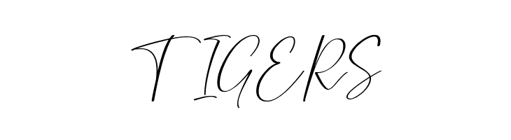 Pantole  Free Fonts Download