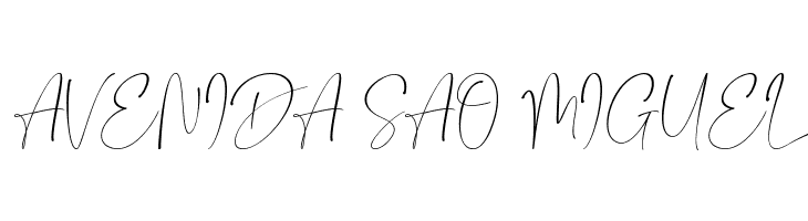 Camigata  Free Fonts Download